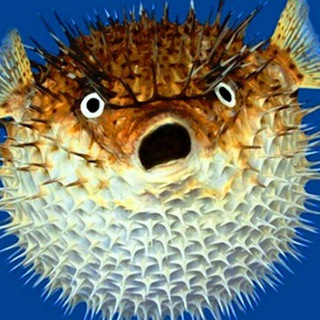 Рыбалка и *РЫБАНУТЫЕ* Точим крючки