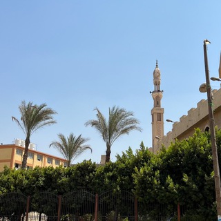 هداية