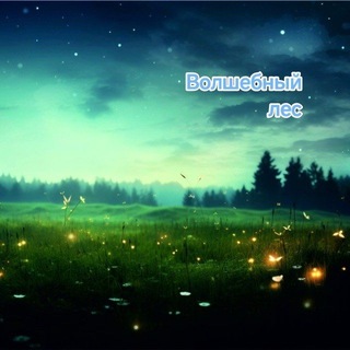 Волшебный лес 🌳