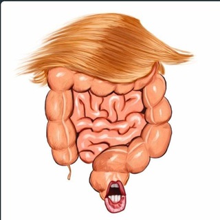 Трамп говорит