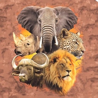 🌴 ЮАР и Я 🌴