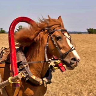 Мчимся на телеге | Раскрутка групп и каналов
