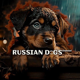 🐾𝑹𝑼𝑺𝑺𝑰𝑨𝑵 𝑫𝑶𝑮𝑺ᶜʰᵃᶰᶰᵉᶫ🐾