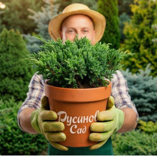 Русинов Сад