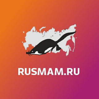 Млекопитающие России