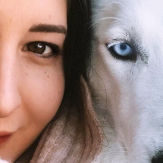 ОТ ЮЖНЫХ МОРЕЙ ДО ПОЛЯРНОГО КРУГА🚘