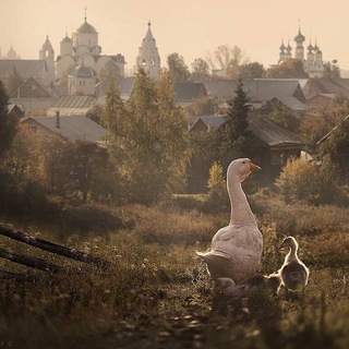 Русские просторы: Путешествия по России