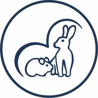 АНО Центр помощи кроликам и грызунам "РУТА" СПб