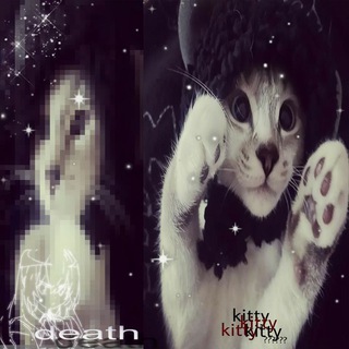 𝑹𝒐𝒃𝒍𝒐𝒙 | Конкурсы