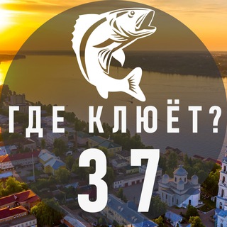 Где клюёт? Иваново и область