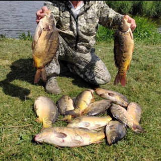 Рыболовный комплекс Карповик +79097727284