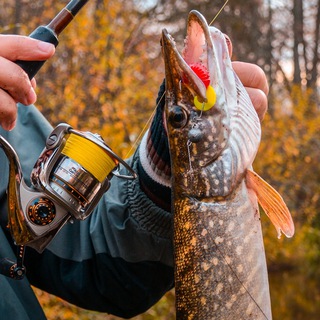 Рыбалка и Походы