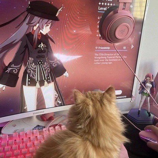 Yo