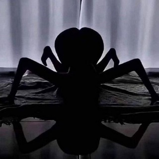 КОУЧИХА паучиха