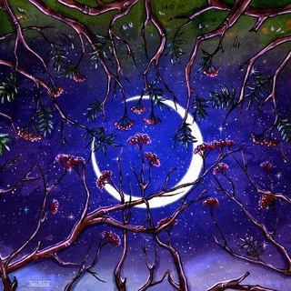 Рысевы кисточки