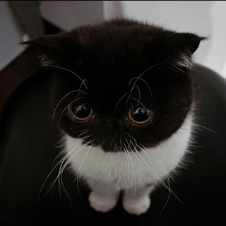 $100k на крипте