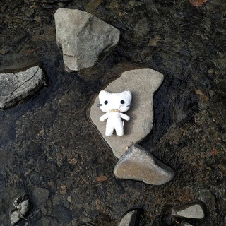 сефрацин ;๑