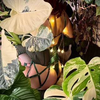 Ламповые жители🌿💡