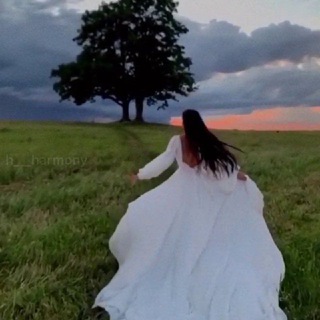 ➣🐯💙✨Ξ B_࿆a_࿆x_࿆t_࿆s_࿆e_࿆v_࿆g_i_࿆̥۬۬۬🐯❤️💫