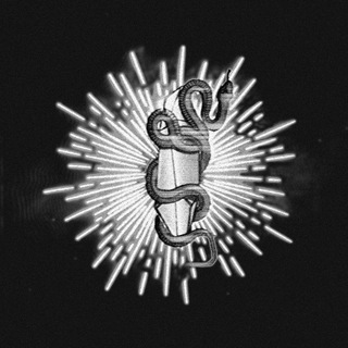 sace snake и кто?