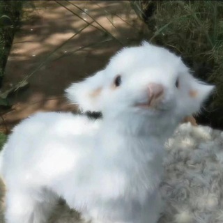 Грусный чат 💔