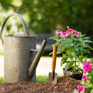 САД ОГОРОД СВОИМИ РУКАМИ