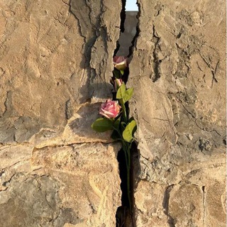 Сад знаний 🤍