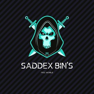 SaddexBINZ Groupe