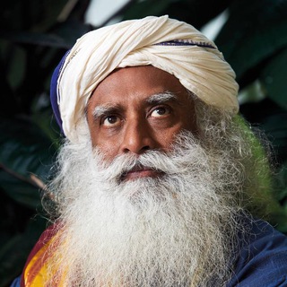 Дневник Садхгуру • Саморазвитие