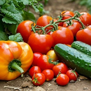 Сад и Огород. Урожайный год