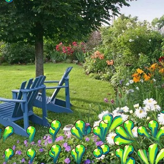 Садок астрика