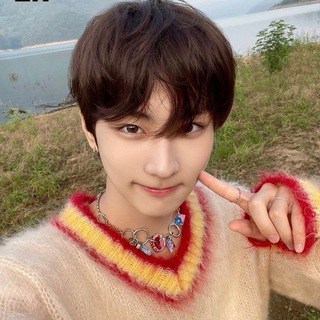 сад овечка | EN IS 7