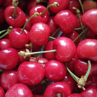 Садовая Алхимия🍎