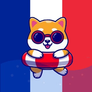 🇨🇵 Safeakita ($SAFEAKITA) OFFICIAL FR 🐶