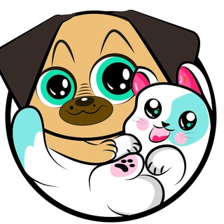 SafePets_OFFICIAL