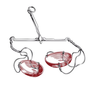 СПб | Альберт Сафин | Очный курс