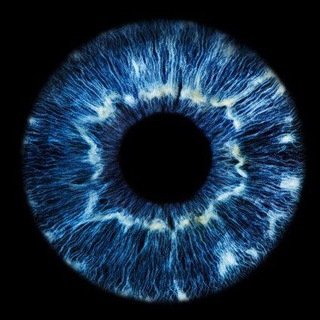 Свобода от присутствия