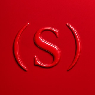 (С)ЭИНТ | Карьера