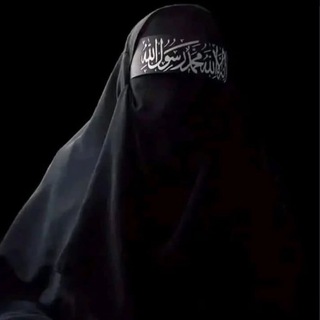 ищущий знания