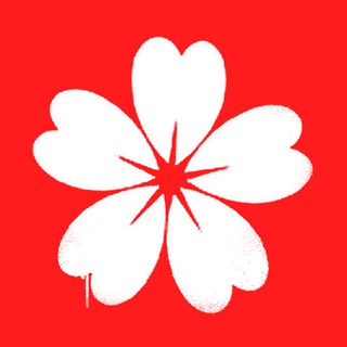 Свет Саккуры