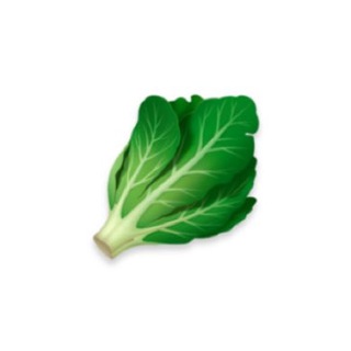 Инфо канал Salad Days | Helsinki