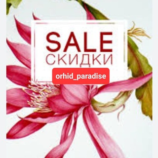 🥀🌺🌸ОРХИДЕИ С УЦЕНКОЙ🔥Orhid_paradise