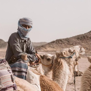 КОРАН,ПОЭМЫ,СТИХИ.