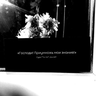 𝚜𝚊𝚕𝚢𝚊𝚏𝚒𝚢𝚊_𝚏