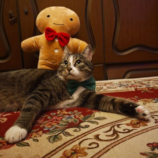 Сам себе фотограф