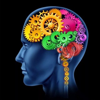 Психология человека