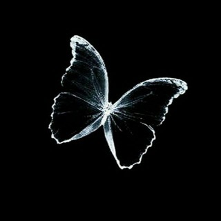 ꧁🥀G'URURI OSMONIM🥀꧂