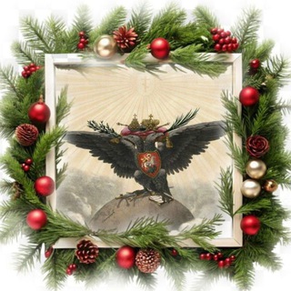 Non multa, sed multum