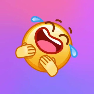 Самые смешные фото и видео