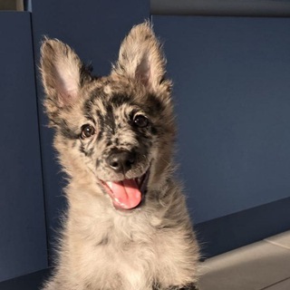 Самолла team🆒